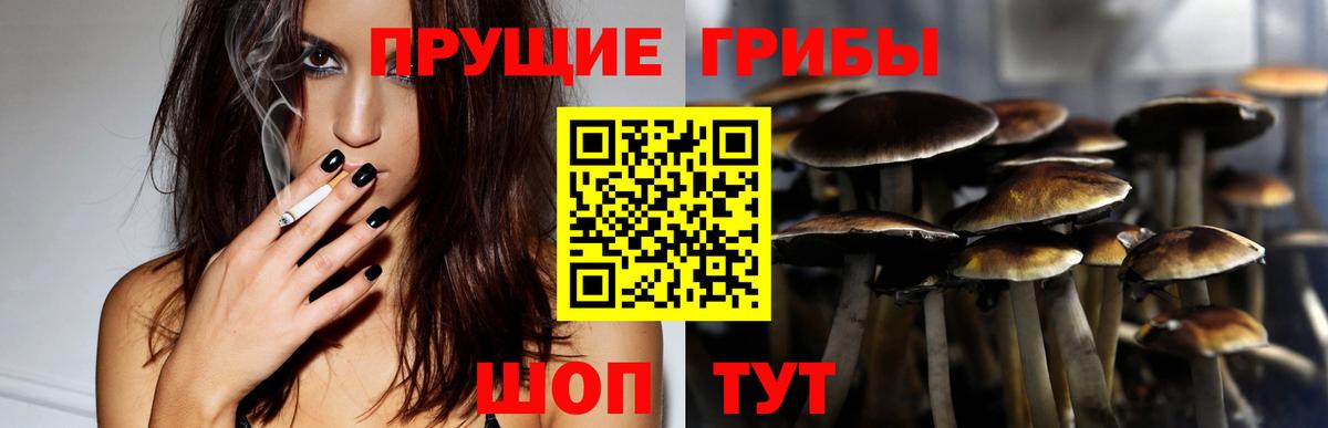 Галлюциногенные грибы ЛСД  Вход с VPN  Заинск 